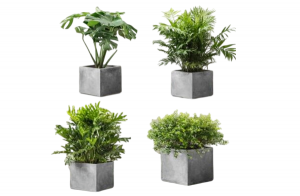 Beautiful cement pots